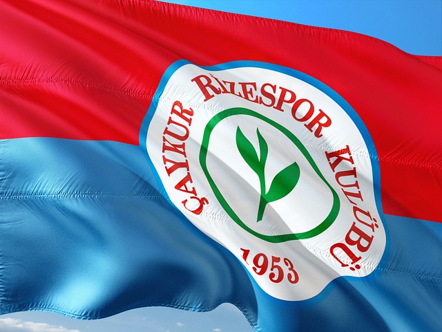 中国香港行 中国香港行