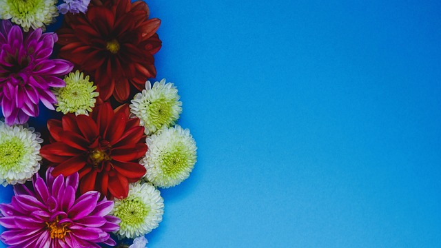 更能揭示球 更能揭示球