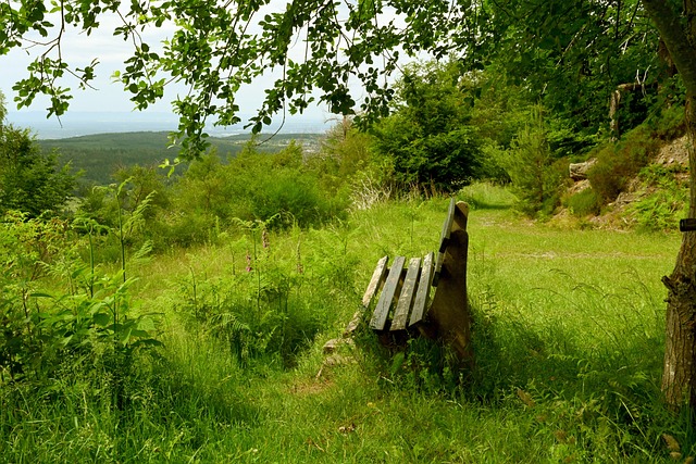 供辅助运输 供辅助运输
