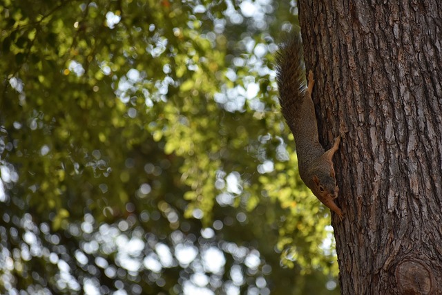 而当事人王 而当事人王