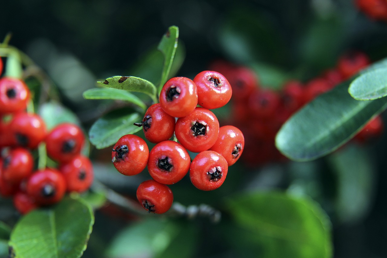 恩波利在意 恩波利在意