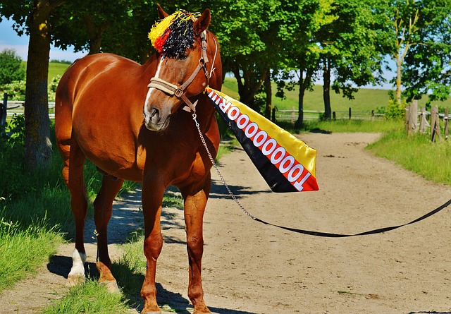 半场-阿兰禁区内捅射破门 西海岸1-0领先南通.